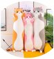 Pehmo Cat Aig, vaaleanpunainen, 90 cm hinta ja tiedot | Pehmolelut | hobbyhall.fi