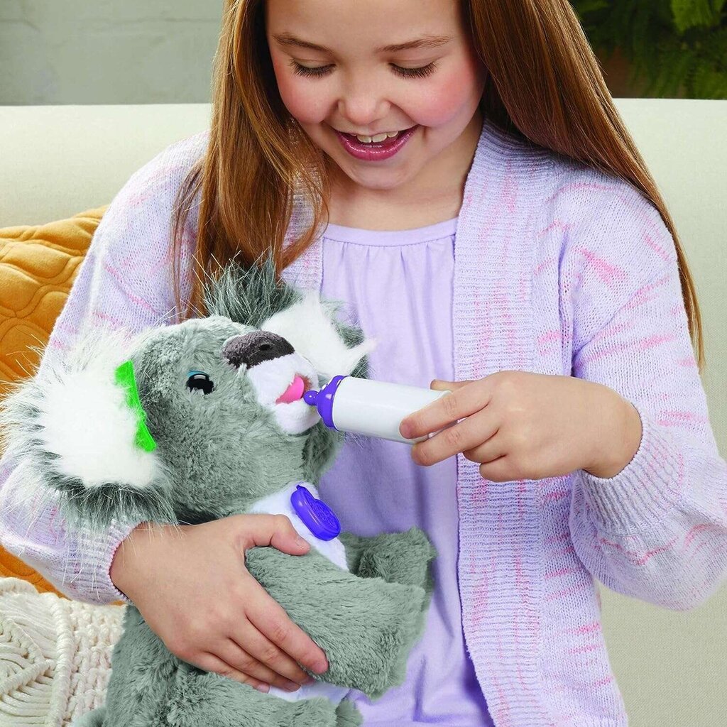 Interaktiivinen pehmo Hasbro FurReal Friends Interactive Koala Kristy hinta ja tiedot | Pehmolelut | hobbyhall.fi