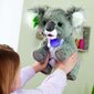 Interaktiivinen pehmo Hasbro FurReal Friends Interactive Koala Kristy hinta ja tiedot | Pehmolelut | hobbyhall.fi