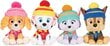 Pehmeä lelu Paw Patrol Everest hinta ja tiedot | Pehmolelut | hobbyhall.fi