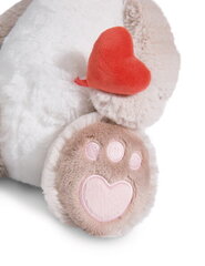 Pehmolelu Love cat Nici, valkoinen, 35 cm hinta ja tiedot | Pehmolelut | hobbyhall.fi