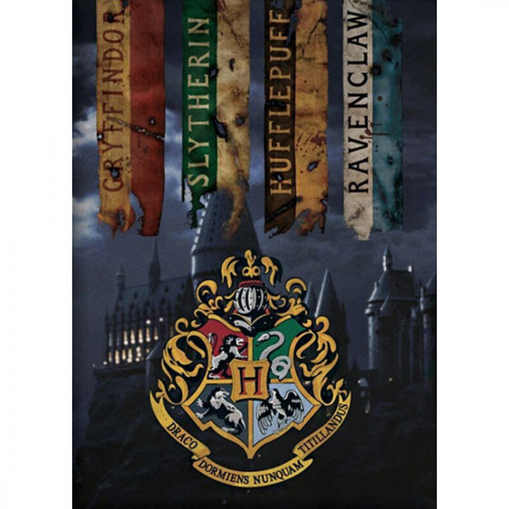 Harry Potter fleecehuopa, 100x140 cm hinta ja tiedot | Päiväpeitot ja huovat | hobbyhall.fi