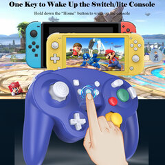 Bluetooth Gamecube Switch Pro -ohjain Nintendo Switchille, Wake Up, Motion, ,Värinä, Sininen hinta ja tiedot | Ohjain- ja laajennuskortit | hobbyhall.fi