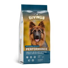 Divinus Performance saksanpaimenkoiralle, 10 kg hinta ja tiedot | Koiran kuivaruoka | hobbyhall.fi