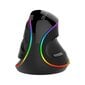 Hiiri Delux M618Plus 4000DPI RGB hinta ja tiedot | Hiiret | hobbyhall.fi