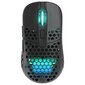 Xtrfy M42 Wireless RGB, musta hinta ja tiedot | Hiiret | hobbyhall.fi