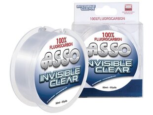 Fluorihiilisiima ASSO Invisible Clear 50m 0,40mm/10,8kg valkoinen hinta ja tiedot | Puutarhatyökalut | hobbyhall.fi