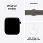 Apple Watch Series 10 GPS + Cellular 42mm Natural Titanium Case with Stone Grey Sport Band - M/L MWXE3ET/A hinta ja tiedot | Älykellot | hobbyhall.fi