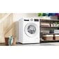 Bosch WGG246ZLSN hinta ja tiedot | Pyykinpesukoneet | hobbyhall.fi