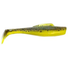 Pehmeä viehe Z-Man MINNOWZ 3" Hot Snakes 6kpl hinta ja tiedot | Vieheet ja uistimet | hobbyhall.fi