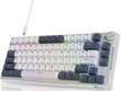 Royal Kludge RK H81 Brown Switches hinta ja tiedot | Näppäimistöt | hobbyhall.fi