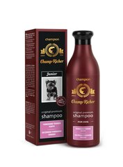 Derma-Pharm Champ-Richer shampoo yorkshirenterrierin pennuille, 250 ml hinta ja tiedot | Shampoot ja hoitoaineet lemmikeille | hobbyhall.fi