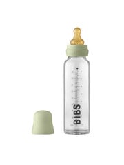 BIBS lasinen tuttipullo 225ml (salvia) 0+ kk hinta ja tiedot | BIBS Lapset | hobbyhall.fi