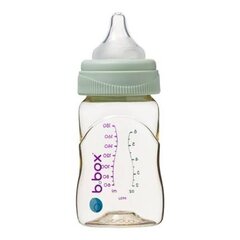 Pullo B. Box, 180 ml hinta ja tiedot | Tuttipullot ja tarvikkeet | hobbyhall.fi