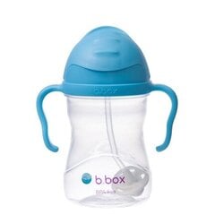 Lasten juomapullo B. BOX Blueberry 4 in 1, 4 kk, sininen, 240 ml hinta ja tiedot | Tuttipullot ja tarvikkeet | hobbyhall.fi