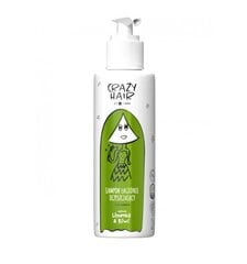 Syväpuhdistava shampoo lime- ja kiiviaromilla Hiskin Crazy Hair, 300 ml hinta ja tiedot | Shampoot | hobbyhall.fi