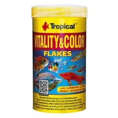 Akvaariokalojen ruoka Tropical Vitality & Color, 500 ml hinta ja tiedot | Kalanruoka | hobbyhall.fi