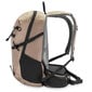 Turistireppu Spokey Dayride, 25 l, hiekka hinta ja tiedot | Reput ja rinkat | hobbyhall.fi