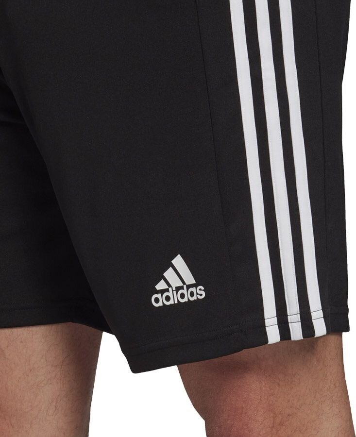 Adidas Squadra 21 shortsit, mustat hinta ja tiedot | Jalkapallovaatteet ja -varusteet | hobbyhall.fi