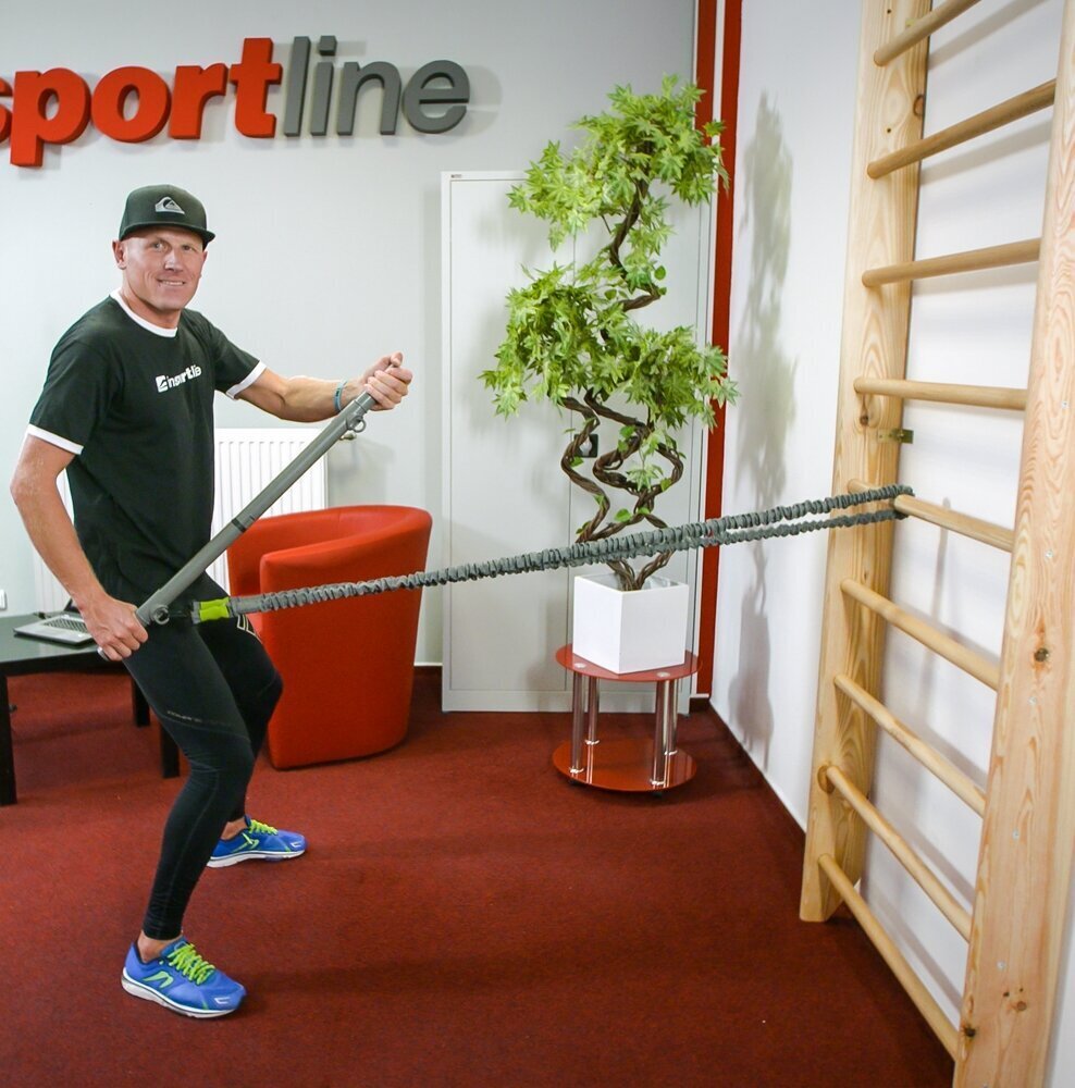 Seinäpalkit inSPORTline Steadyline, 200 x 80 cm, ruskea hinta ja tiedot | Puolapuut ja voimisteluseinät | hobbyhall.fi