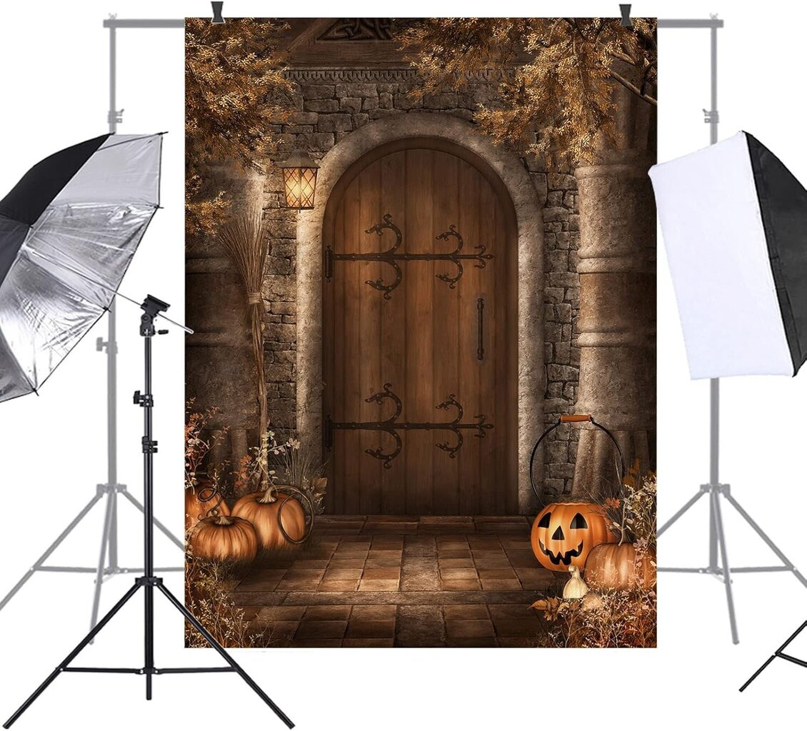 Halloween valokuvaus tausta, 150*200cm hinta ja tiedot | Juhlakoristeet | hobbyhall.fi