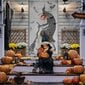 Halloween-verhot, noita hinta ja tiedot | Juhlakoristeet | hobbyhall.fi