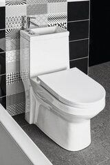 WC-istuin pesualtaalla Hygie 36,5 x 78 x 72 cm Soft Close hinta ja tiedot | WC-istuimet | hobbyhall.fi