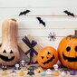 16 miniatyyri Halloween-koristetta, tee-se-itse-koristeita, 2*2*2cm hinta ja tiedot | Juhlakoristeet | hobbyhall.fi