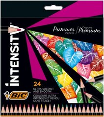 Värikynät Intensity 24 värisetti 967823 hinta ja tiedot | Taide- ja askartelutarvikkeet | hobbyhall.fi