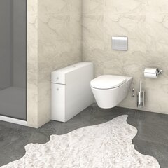 Kylpyhuonekaappi Kalune Design Smart, valkoinen hinta ja tiedot | Kylpyhuonekaapit | hobbyhall.fi