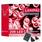 Jouluvalot Springos CL0208 200 Led hinta ja tiedot | Jouluvalot | hobbyhall.fi