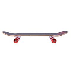 Skateboard Street Surfing, 78cm hinta ja tiedot | Skeittilaudat | hobbyhall.fi