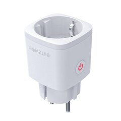 BlitzWolf BW-SHP13 WIFI Smart Socket, 3680W hinta ja tiedot | Älylaitteiden lisätarvikkeet | hobbyhall.fi