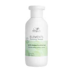 Elvyttävä hiusshampoo Wella Elements Renewing Shampoo 250ml hinta ja tiedot | Shampoot | hobbyhall.fi