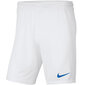 Miesten shortsit Nike Park III BV6855104 hinta ja tiedot | Miesten urheiluvaatteet | hobbyhall.fi