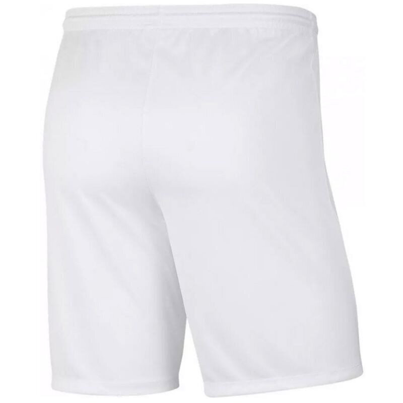 Miesten shortsit Nike Park III BV6855104 hinta ja tiedot | Miesten urheiluvaatteet | hobbyhall.fi