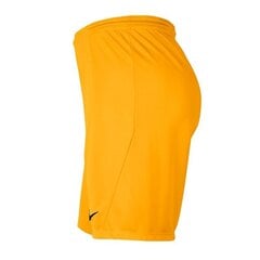 Miesten shortsit Nike Dry Park III M BV6855-739, keltainen hinta ja tiedot | Miesten shortsit | hobbyhall.fi