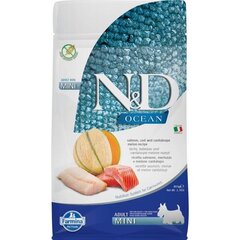 Farmina N&D Ocean pienille koirille, lohi, kala, meloni ja cantaloupe, 800 g hinta ja tiedot | Koiran kuivaruoka | hobbyhall.fi