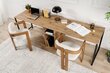 Työpöytä Twin Study Desk, ruskea hinta ja tiedot | Tietokonepöydät ja työpöydät | hobbyhall.fi