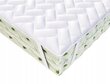 Patja Fluxar home N1041 80x200 SABA Aloevera hinta ja tiedot | Sijauspatjat | hobbyhall.fi