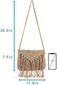 Tassel Olkalaukku Naisten Olkalaukku Straw Beach Bag hinta ja tiedot | Naisten käsilaukut | hobbyhall.fi