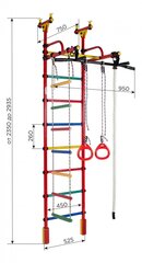 Urheiluväline (voimisteluseinä) Kirahvi, oranssi-sateenkaari, 235-293 x 52,5 cm hinta ja tiedot | Puolapuut ja voimisteluseinät | hobbyhall.fi