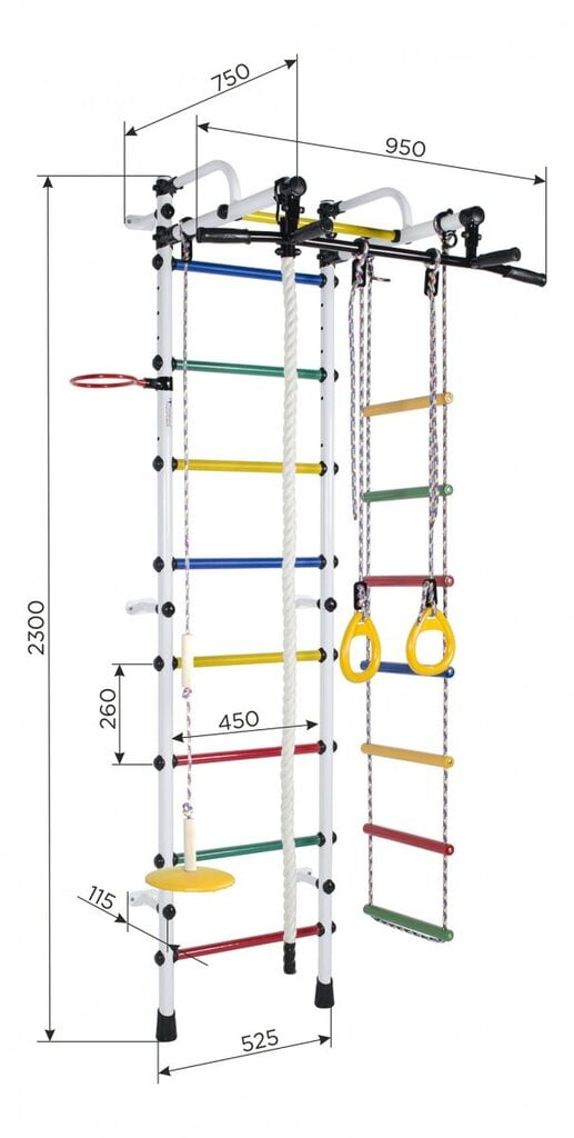 Kuntokeskus (voimisteluseinä) RAINBOW PRO, valkoinen-sininen, 226 x 52,5 cm hinta ja tiedot | Puolapuut ja voimisteluseinät | hobbyhall.fi