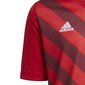 Lasten T-paita Adidas Entrada 22 Graphic Jersey H58983, punainen hinta ja tiedot | Jalkapallovaatteet ja -varusteet | hobbyhall.fi