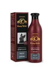 Shampoo tummalle turkille Derma-Pharm Champ-Richer, 250 ml hinta ja tiedot | Shampoot ja hoitoaineet lemmikeille | hobbyhall.fi