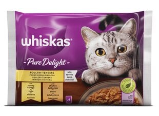 Whiskas Pure Delight kissanruoka, kana ja kalkkuna, 4 x 85 g x 13 kpl hinta ja tiedot | Kissanruoka | hobbyhall.fi