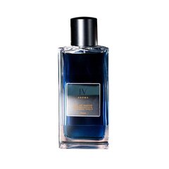 Hajuvesi Aurora Aroma IV EDP miehille, 100 ml hinta ja tiedot | Naisten hajuvedet | hobbyhall.fi