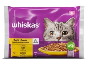 Whiskas kissanruoka, kana ja kalkkuna, 4 x 85g x 13 kpl hinta ja tiedot | Kissanruoka | hobbyhall.fi