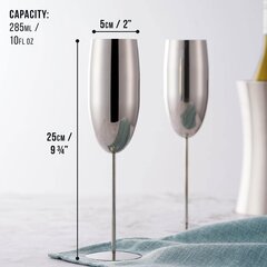 Ruostumattomasta teräksestä valmistetut samppanjalasit Samppanja- ja Prosecco-lasit - hopea hinta ja tiedot | Termoskannut ja termosmukit | hobbyhall.fi