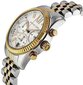 Aleko Michael Kors Mk5955 kvartsikello hinta ja tiedot | Kellot | hobbyhall.fi